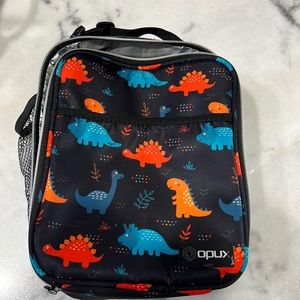 Dinosaur kids lunchbox